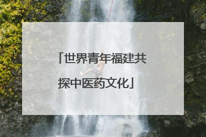 世界青年福建共探中医药文化