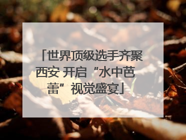 世界顶级选手齐聚西安 开启“水中芭蕾”视觉盛宴