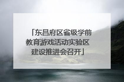 东昌府区省级学前教育游戏活动实验区建设推进会召开