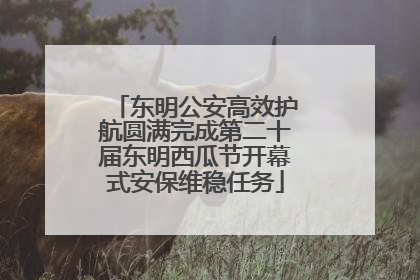 东明公安高效护航圆满完成第二十届东明西瓜节开幕式安保维稳任务