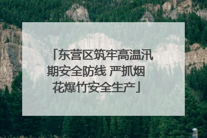 东营区筑牢高温汛期安全防线 严抓烟花爆竹安全生产
