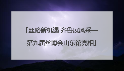 丝路新机遇 齐鲁展风采——第九届丝博会山东馆亮相