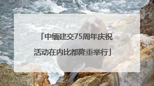 中缅建交75周年庆祝活动在内比都隆重举行