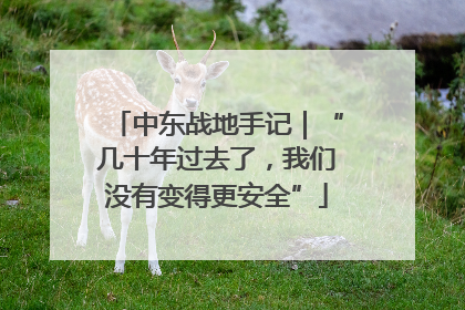 中东战地手记｜“几十年过去了，我们没有变得更安全”