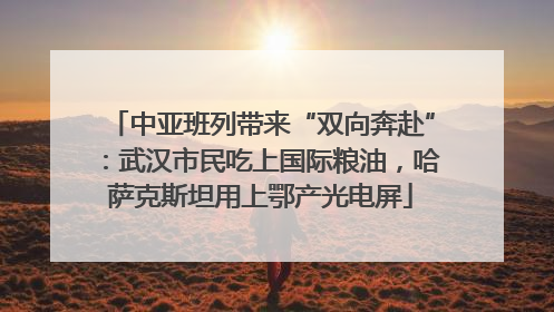 中亚班列带来“双向奔赴”：武汉市民吃上国际粮油，哈萨克斯坦用上鄂产光电屏