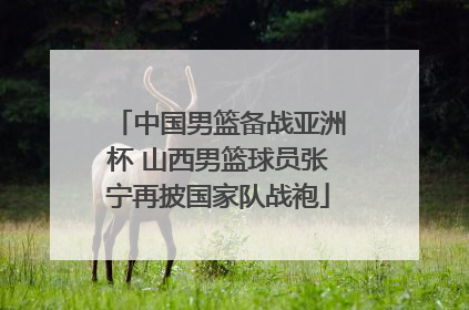 中国男篮备战亚洲杯 山西男篮球员张宁再披国家队战袍