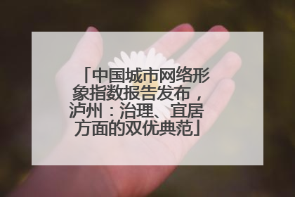 中国城市网络形象指数报告发布，泸州：治理、宜居方面的双优典范