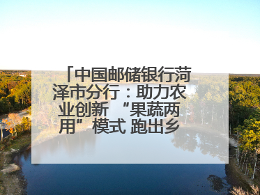 中国邮储银行菏泽市分行：助力农业创新 “果蔬两用”模式 跑出乡村振兴加速度