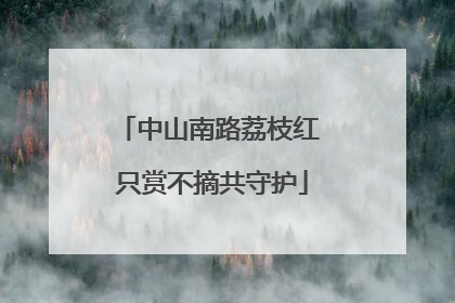 中山南路荔枝红 只赏不摘共守护