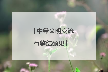 中希文明交流互鉴结硕果