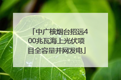 中广核烟台招远400兆瓦海上光伏项目全容量并网发电