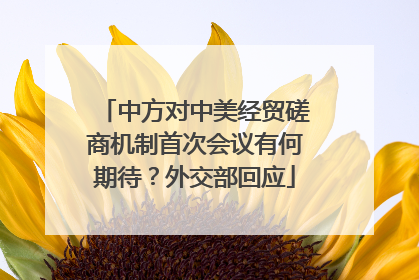 中方对中美经贸磋商机制首次会议有何期待？外交部回应
