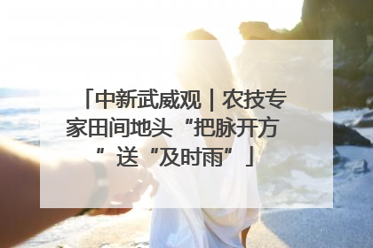 中新武威观｜农技专家田间地头“把脉开方”送“及时雨”