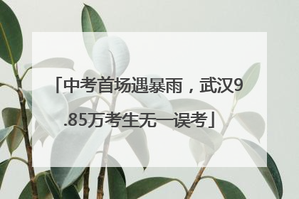 中考首场遇暴雨，武汉9.85万考生无一误考
