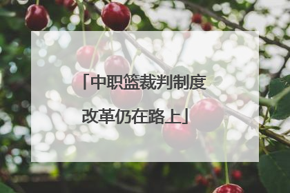 中职篮裁判制度改革仍在路上