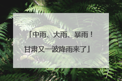 中雨、大雨、暴雨！甘肃又一波降雨来了