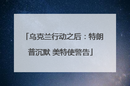 乌克兰行动之后：特朗普沉默 美特使警告
