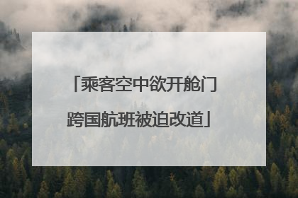 乘客空中欲开舱门 跨国航班被迫改道