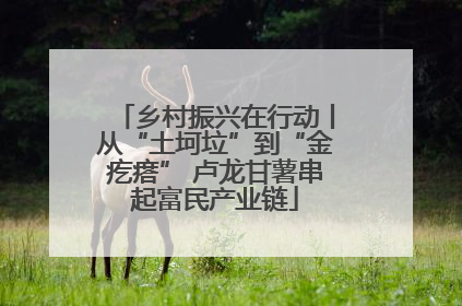 乡村振兴在行动丨从“土坷垃”到“金疙瘩” 卢龙甘薯串起富民产业链