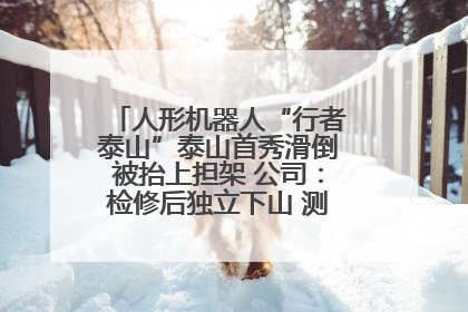人形机器人“行者泰山”泰山首秀滑倒被抬上担架 公司：检修后独立下山 测试就是为暴露问题