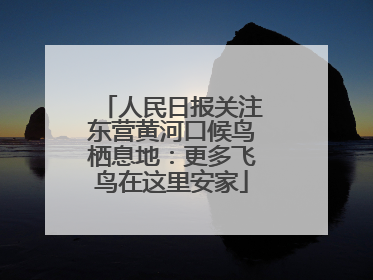 人民日报关注东营黄河口候鸟栖息地：更多飞鸟在这里安家