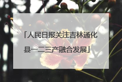 人民日报关注吉林通化县一二三产融合发展