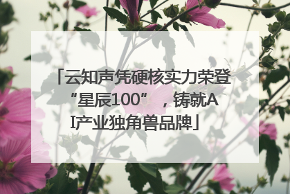 云知声凭硬核实力荣登“星辰100”，铸就AI产业独角兽品牌
