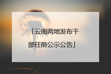 云南两地发布干部任前公示公告
