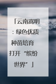 云南嵩明：绿色优质种苗培育 打开“缤纷世界”
