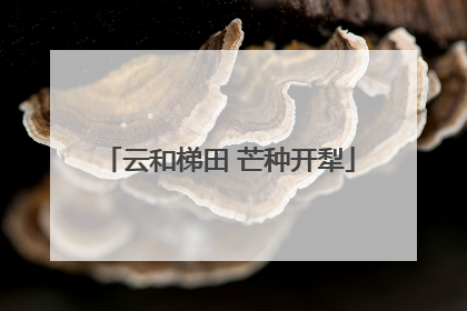 云和梯田 芒种开犁