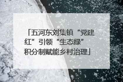 五河东刘集镇“党建红”引领“生态绿” 积分制赋能乡村治理