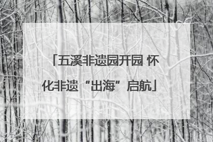五溪非遗园开园 怀化非遗“出海”启航