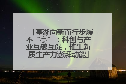 亭湖向新而行步履不“亭”：科创与产业互融互促，催生新质生产力澎湃动能