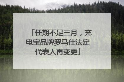 任期不足三月，充电宝品牌罗马仕法定代表人再变更