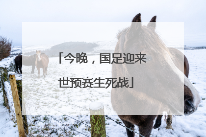 今晚，国足迎来世预赛生死战
