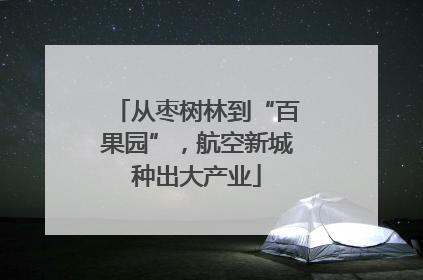 从枣树林到“百果园”，航空新城种出大产业