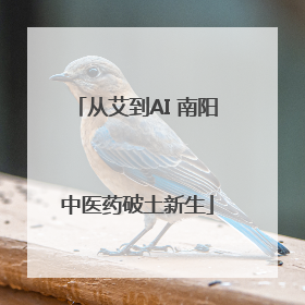 从艾到AI 南阳中医药破土新生
