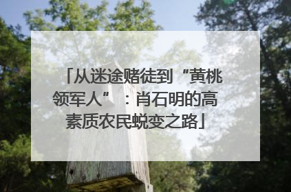从迷途赌徒到“黄桃领军人”：肖石明的高素质农民蜕变之路