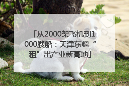 从2000架飞机到1000艘船：天津东疆“租”出产业新高地