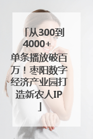从300到4000+ 单条播放破百万！枣阳数字经济产业园打造新农人IP