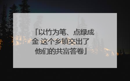 以竹为笔、点绿成金 这个乡镇交出了他们的共富答卷
