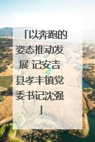 以奔跑的姿态推动发展 记安吉县孝丰镇党委书记沈强