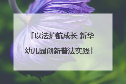 以法护航成长 新华幼儿园创新普法实践