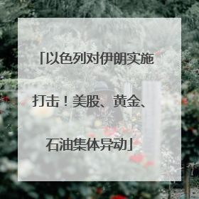 以色列对伊朗实施打击！美股、黄金、石油集体异动