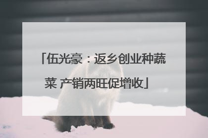 伍光豪：返乡创业种蔬菜 产销两旺促增收