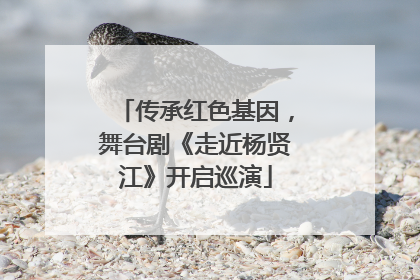 传承红色基因，舞台剧《走近杨贤江》开启巡演