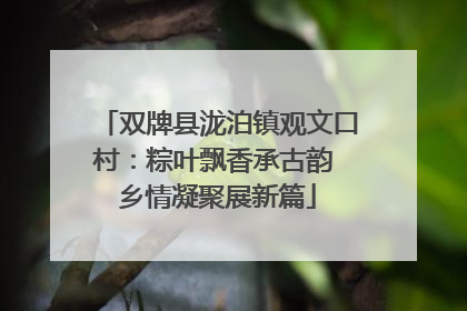 双牌县泷泊镇观文口村：粽叶飘香承古韵 乡情凝聚展新篇