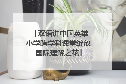 双语讲中国英雄 小学跨学科课堂绽放国际理解之花
