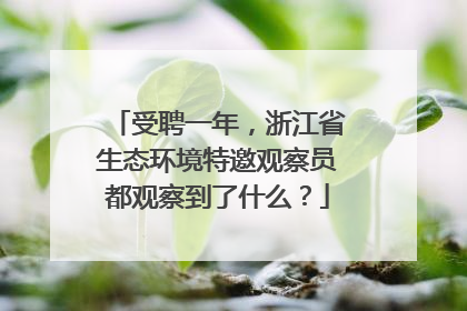 受聘一年，浙江省生态环境特邀观察员都观察到了什么？