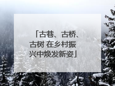 古巷、古桥、古树 在乡村振兴中焕发新姿
